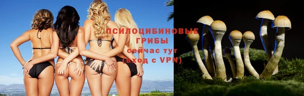 альфа пвп Лагань