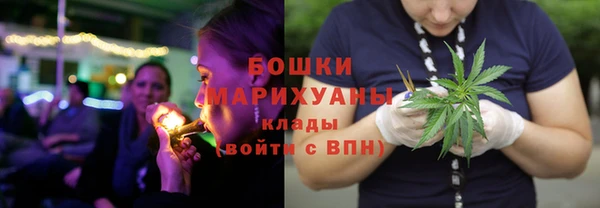 амф Ладушкин