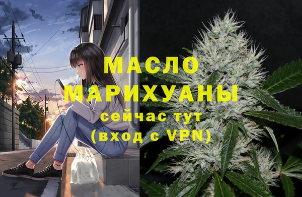 амф Ладушкин