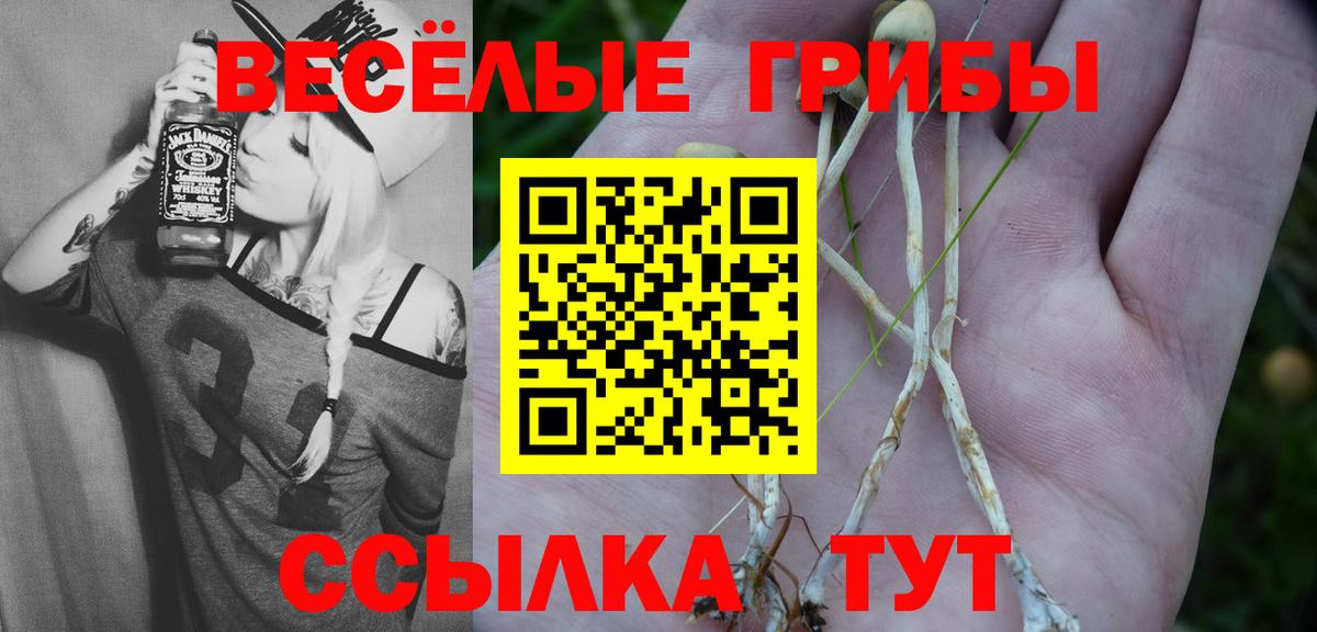 Галлюциногенные грибы GOLDEN TEACHER Ханты-Мансийск
